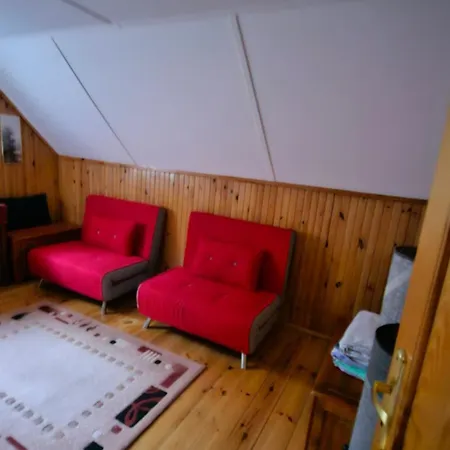 Vila W Lesie Bory Tucholskie